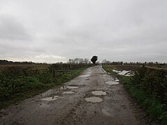 Track to Foxhills Farm near Newton - geograph.org.uk - 6330710.jpg