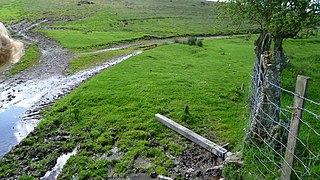 Waymarker down on Glyndwr's Way near Bwlch House - geograph.org.uk - 4012288.jpg