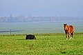 Dal van de Hunze gezien vanaf de Hondsrugweg