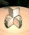 45% riebumo prancūziškas ožkų sūris „Cabri gatineu“