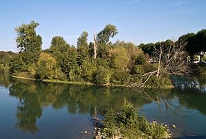 Île Refuge, in the Marne river, is part of the Local Nature Reserve of the islands of Chelles