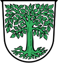 Brasão de Waldmünchen