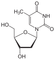 Deutsch: Struktur von Desoxythymidin English: Structure of Deoxythymidine