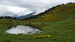 Estany de Viella (Vall d'Aran)