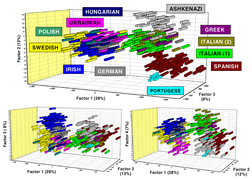 European population substructure.png