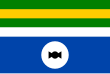 Vlag