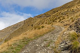 Isthmus Peak Trail, New Zealand.jpg