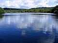 Le lac du Drennec 1