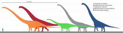 Thumbnail for File:Longest dinosaurs2.svg