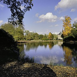 Parkvijver kasteel Twickel