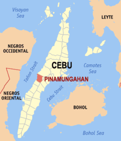 Mapa de Cebu con Pinamungajan resaltado