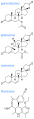 Deutsch: Struktur von Kaliumsparenden Diuretika vom Typ Aldosteron-Antagonist English: Structure of Potassium-sparing diuretics that act as aldosterone antagonist