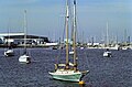 Sailboats at Long Beach, California