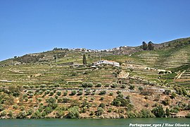 Vale do Douro - Portugal (4683214528).jpg