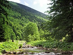 Čeladenka erreka, Silesia-Moraviako Beskideetan