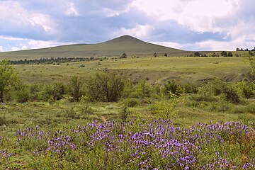 Боргойская степь