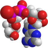 Image illustrative de l’article Adénosine diphosphate ribose