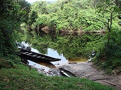 Readales Amazonas