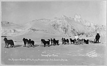 Partecipazione del Col. Ramsay, squadra di cani vincitrice del 3° All Alaska Sweepstakes. John Johnson conducente, 1910 circa.