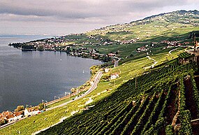 Cully, komunumo Bourg-en-Lavaux