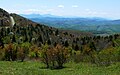 Grayson Highlands