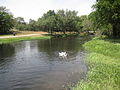 Hamilton Creek Park off U.S. Route 281 in Burnet