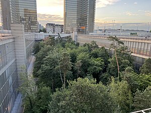 Le jardin depuis la terrasse de la bibliothèque.