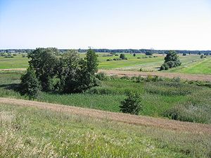 Заросшая старица в Вышкувском повете (Польша)