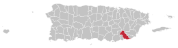 Locatie van Patillas in Puerto Rico
