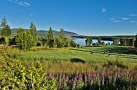 Maridalen Maridalsvannet Nordmarka Oslo Norway (2022.07.11).jpg