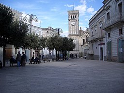 Torget