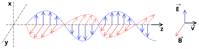 Vista lateral (izquierda) de una onda electromagnética a lo largo de un instante y vista frontal (derecha) de la misma en un momento determinado. De color rojo se representa el campo magnético y de azul el eléctrico.