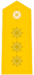 Coronel