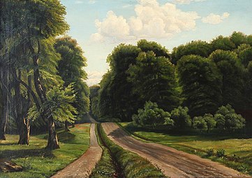Summer Day on a Forest Road