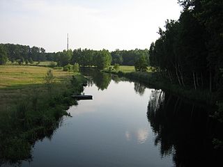 Dubja blisko Serbskeho Bukojca