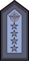 Brigadier general (OF-9)