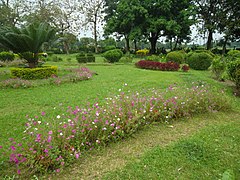 বিহার সংলগ্ন বাগান