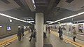 Hibiya Line platforms, 2019