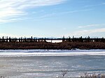 Une rivière gelée traverse une plaine. De petits arbres poussent sur les rives ; de grandes montagnes, au loin.