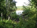 A garden pond.