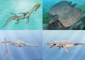 Сверху: Henodus chelyops (Placodontia), Ceresiosaurus calcagnii (Nothosauroidea); Снизу: Aristonectes parvidens, Brachauchenius lucasi (Plesiosauria)