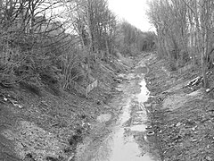 The derelict MSDR line at West Didsbury in 2011