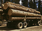 Muatan kayu balak pain ponderosa, Taman Negara Malheur, 1942