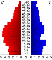 Bevolkingspiramide Bond County