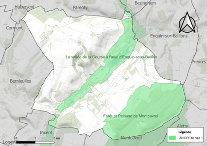 Carte des ZNIEFF de type 1 sur la commune.