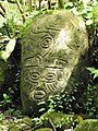 La cuenca del Sarapiquí estuvo habitada desde tiempos precolombinos, como lo muestran estos petroglifos del sitio arqueológico Alma Ata.