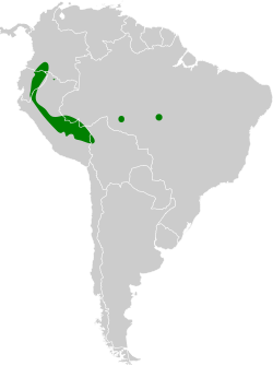 Distribución geográfica del titico carioscuro.