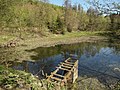 At the end of the source region are the two Engelsburg ponds