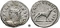 Gallienus coin, celebrating LEG VII CLA VI P VI F (Seventh legion Claudia, six times faithful, six times loyal), and bearing the bull, symbol of the Legio VII Claudia, on the reverse.