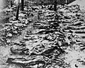 Soviet Katyń Massacre